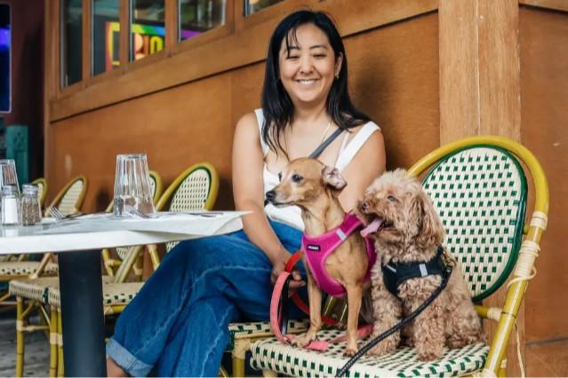 Chuyện nghề trông chó cho nhà giàu, lương 7 triệu đồng/ngày