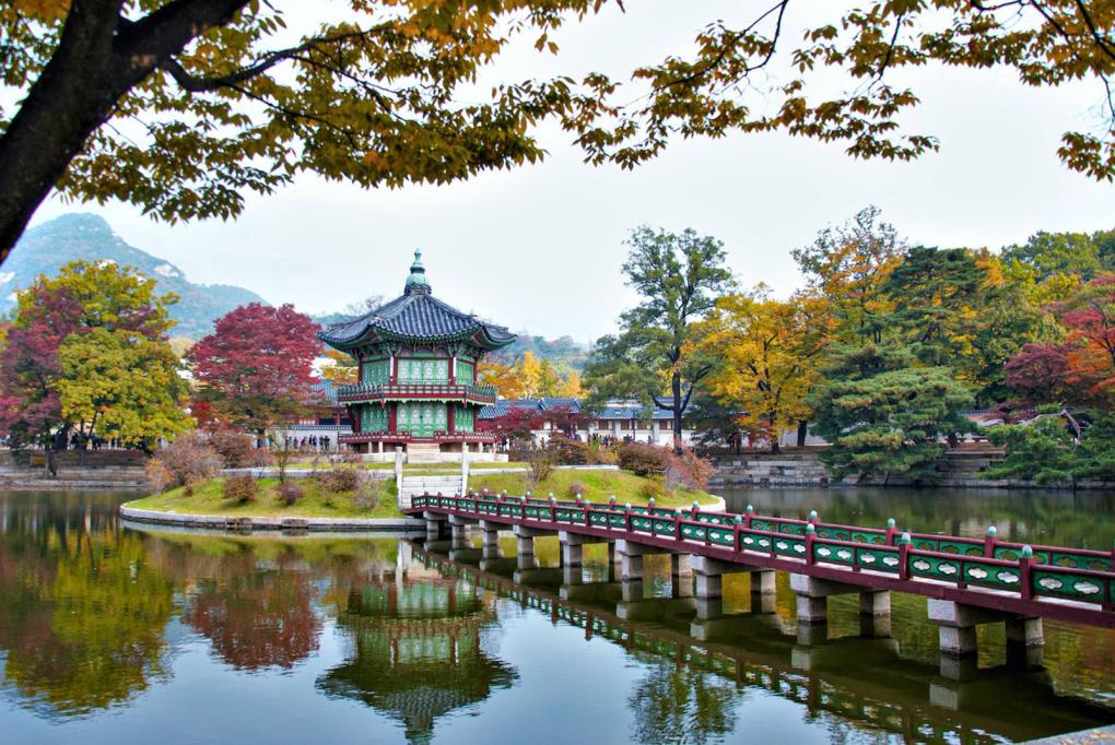 Kinh nghiệm du lịch Hàn Quốc mùa thu của khách Việt