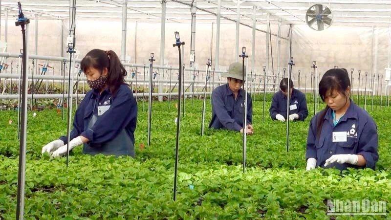 Đẩy mạnh chuyển đổi số phát triển nông nghiệp vùng đô thị