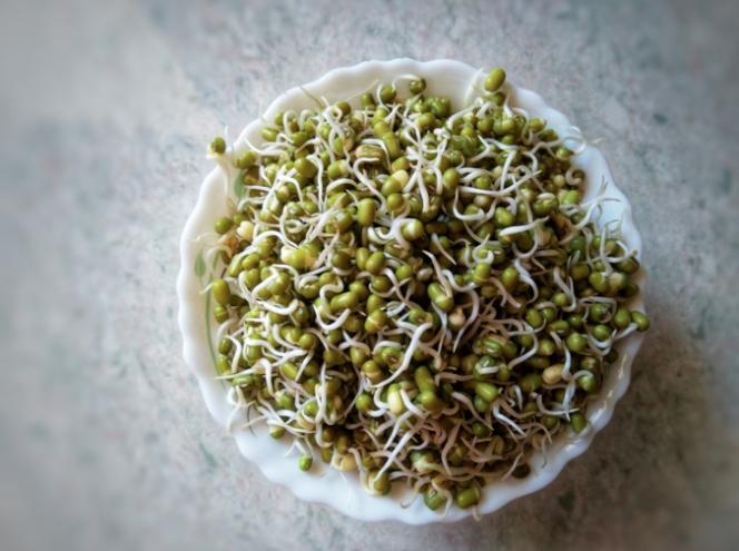 6 lý do nên đưa giá đỗ xanh vào chế độ ăn uống
