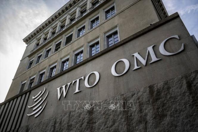 WTO nhận định giai đoạn khó khăn đối với thương mại toàn cầu