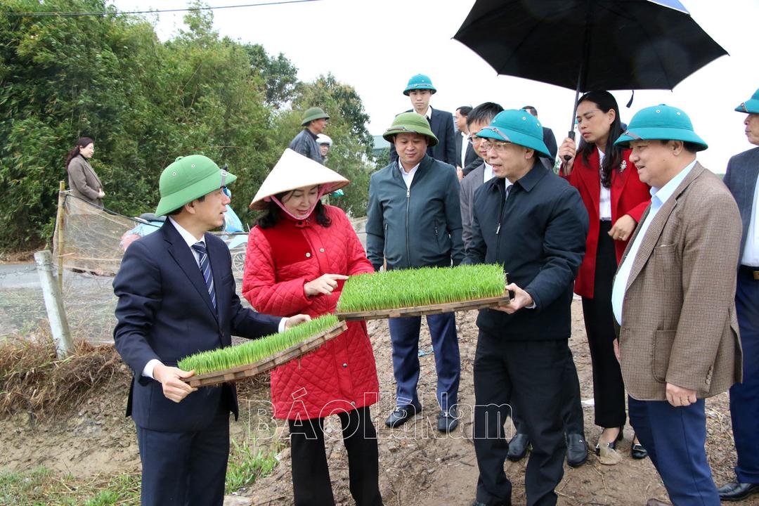 Chỉ thị của Thủ tướng Chính phủ đôn đốc thực hiện nhiệm vụ trọng tâm sau kỳ nghỉ Tết nguyên đán Ất Tỵ 2025