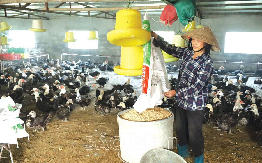 Nỗ lực thực hiện mục tiêu giảm nghèo đa chiều, bao trùm, bền vững