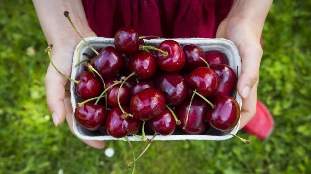 Bệnh tiểu đường nên ăn trái cây gì?