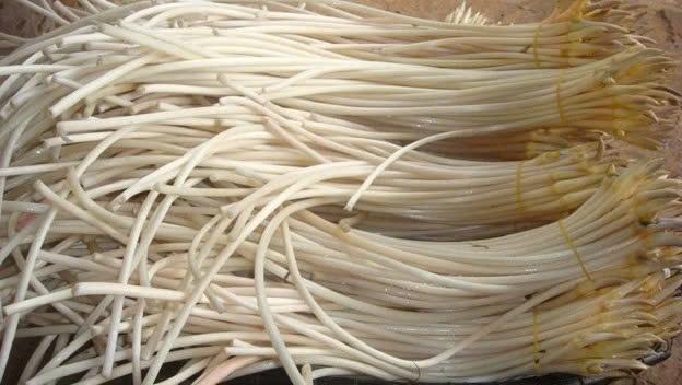 Việt Nam có vị "thuốc quý" bổ huyết lại giải độc hiệu quả, cứ ra chợ là thấy