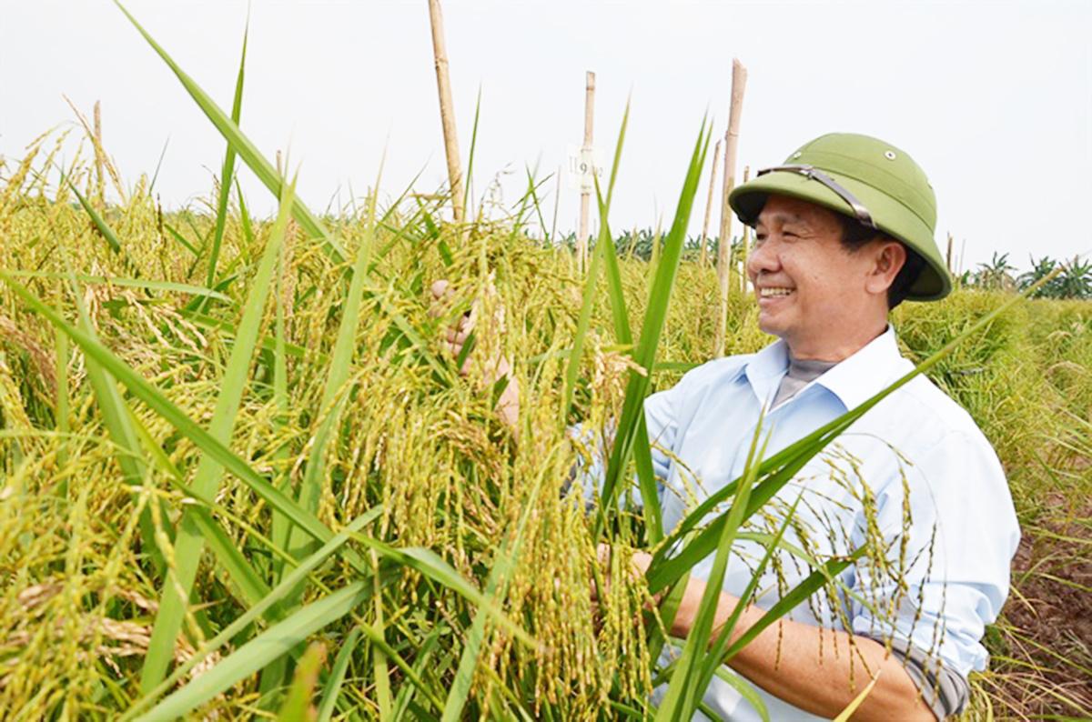 Tôn vinh đặc sản quê hương