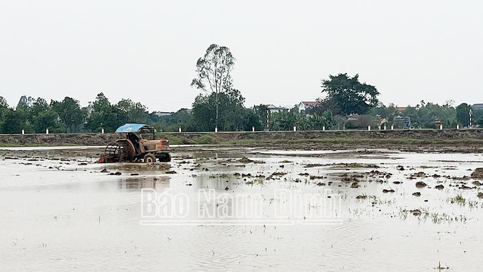 Toàn tỉnh lấy nước được 89% tổng diện tích gieo cấy vụ xuân