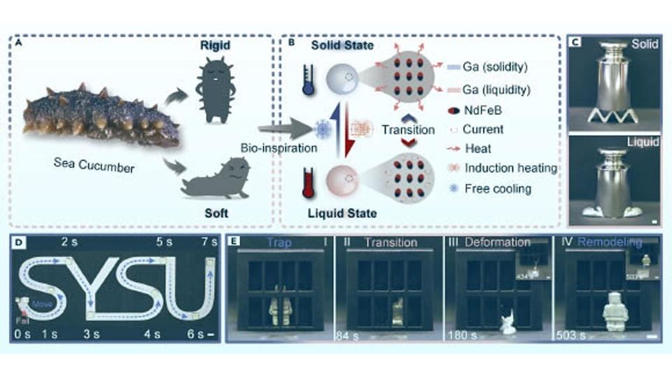 Các nhà khoa học đã tạo ra được một loại robot có thể tự hóa lỏng và thoát khỏi chuồng giam