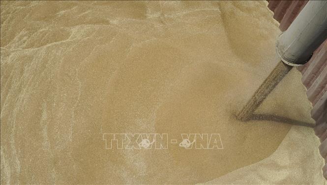 Nga viện trợ 25 nghìn tấn lúa mì cho Cuba