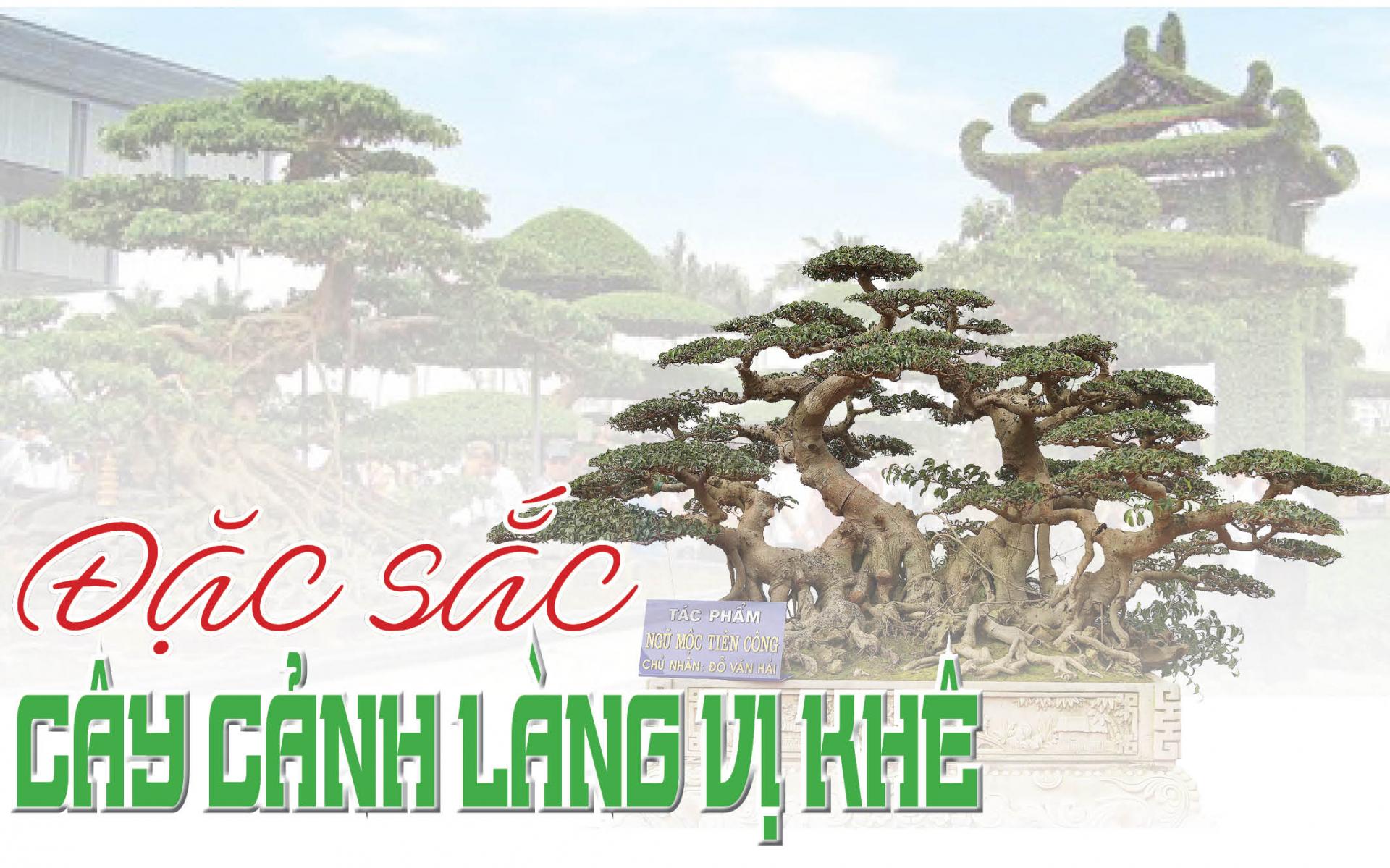 Đặc sắc cây cảnh làng Vị Khê