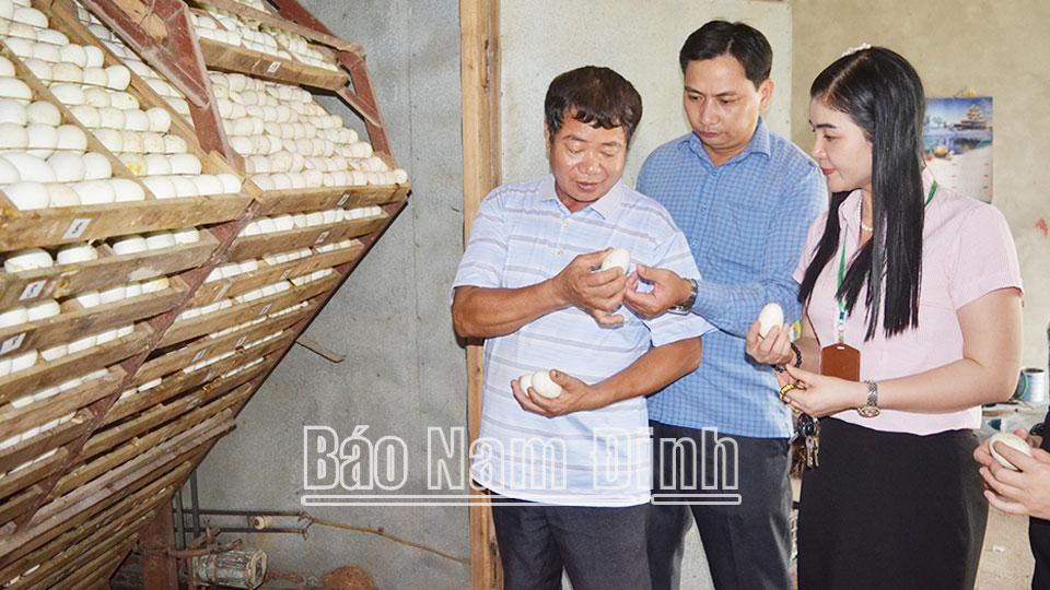 Quyết sách chiến lượctrúng, đúng và hợp lòng dân