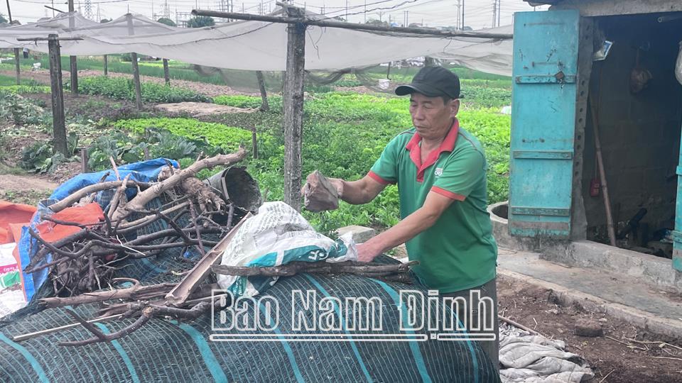 Cấp bách tìm giải pháp giảm thiểu chất thải nhựa trong sản xuất nông nghiệp