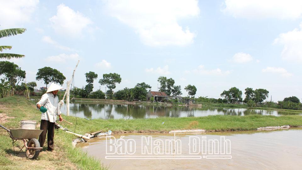 Phát triển nuôi thủy sản ở Xuân Trường