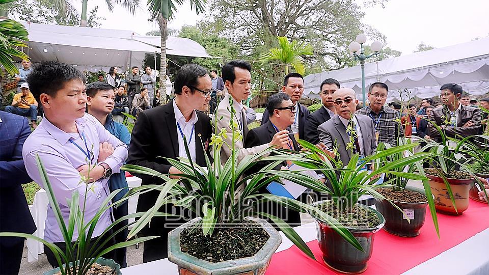 Quý I -2024, khoảng 715 nghìn lượt khách tới các điểm tham quan du lịch của tỉnh