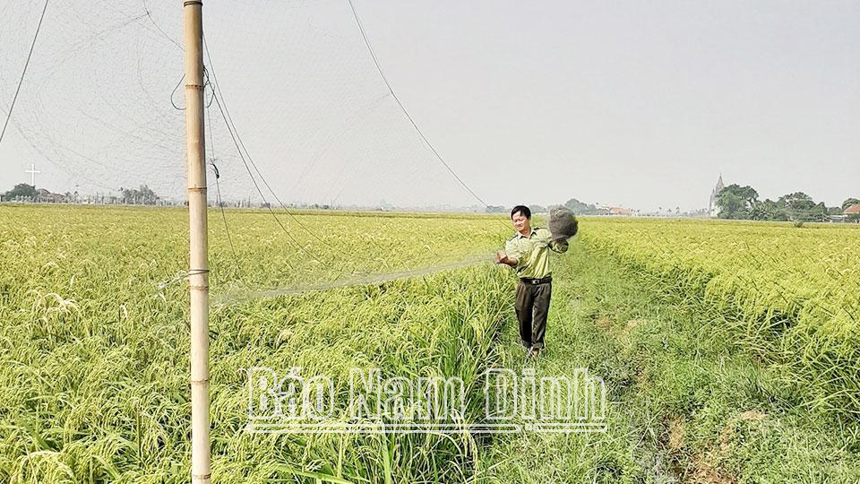 Quyết liệt xử lý tình trạng săn bắt chim hoang dã - Bài 1: Gia tăng hình thức săn, bắt trái phép chim hoang dã