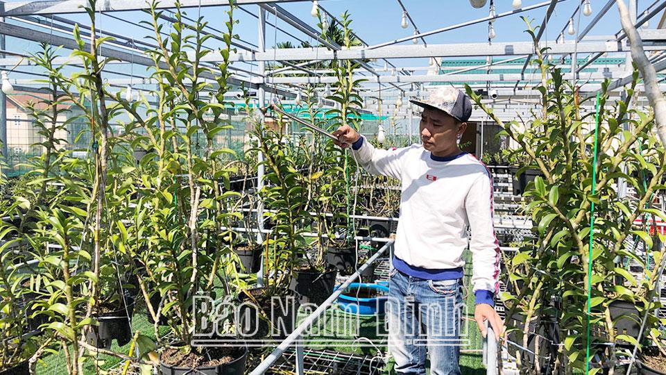 Thanh niên Nam Điềnnăng động phát triển kinh tế