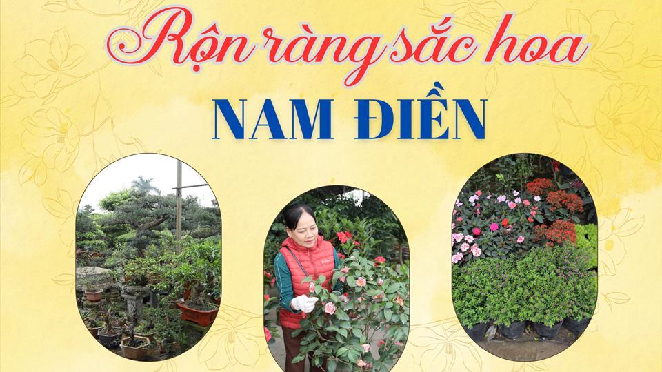 Rộn ràng sắc hoa Nam Điền