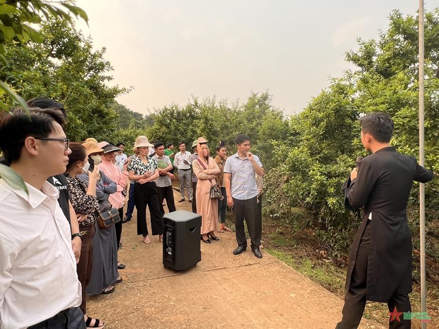 Sơn La: Thương mại điện tử đưa nông sản vươn xa