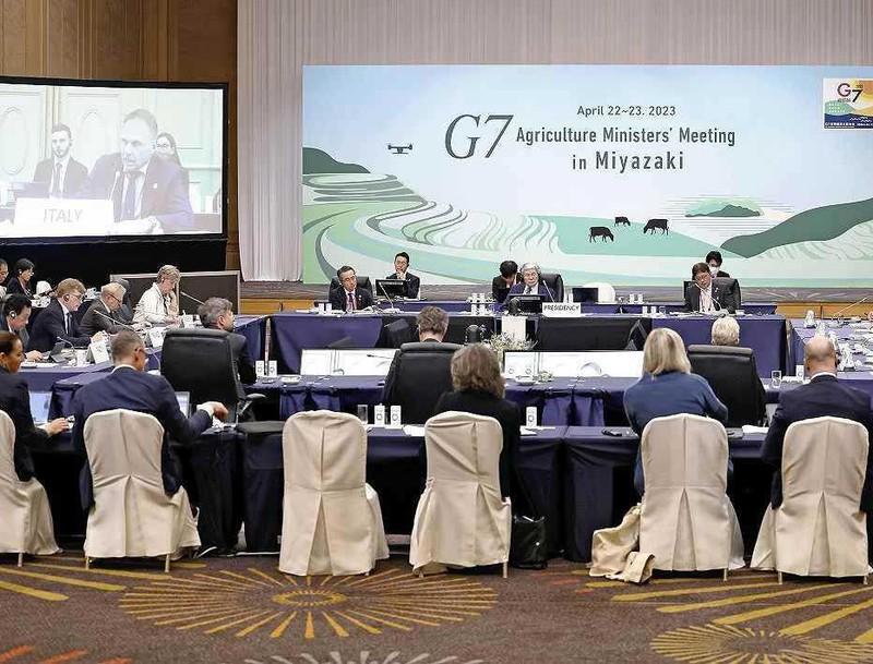 G7 kêu gọi gia hạn thỏa thuận ngũ cốc Biển Đen