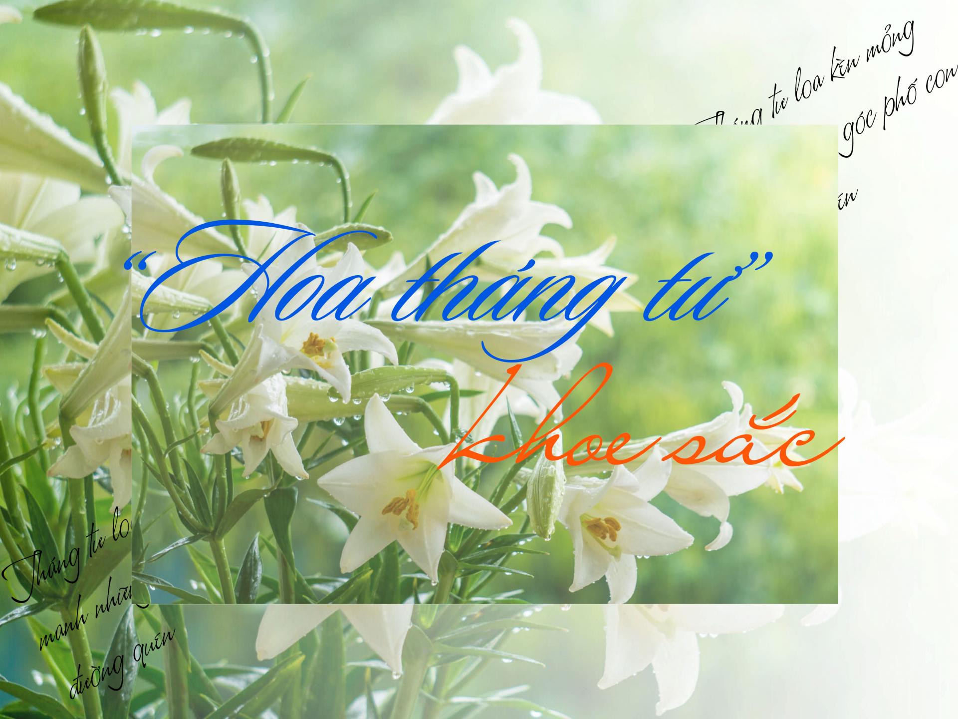 “Hoa tháng Tư” khoe sắc