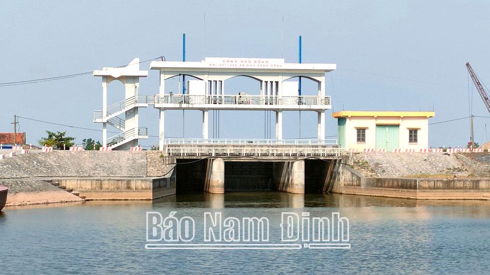 Tăng cường xử lý vi phạm công trình thuỷ lợi trên địa bàn tỉnh