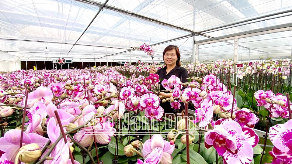 Khoa học và công nghệ đồng hànhcùng sự phát triển của doanh nghiệp