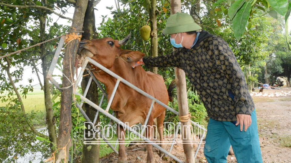 Qua kết quả tiêm phòng vụ xuâncho đàn vật nuôi