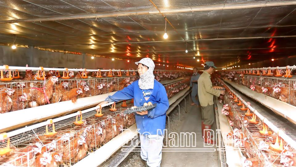 Tập trung xây dựng nền tảngcơ sở dữ liệu dùng chung