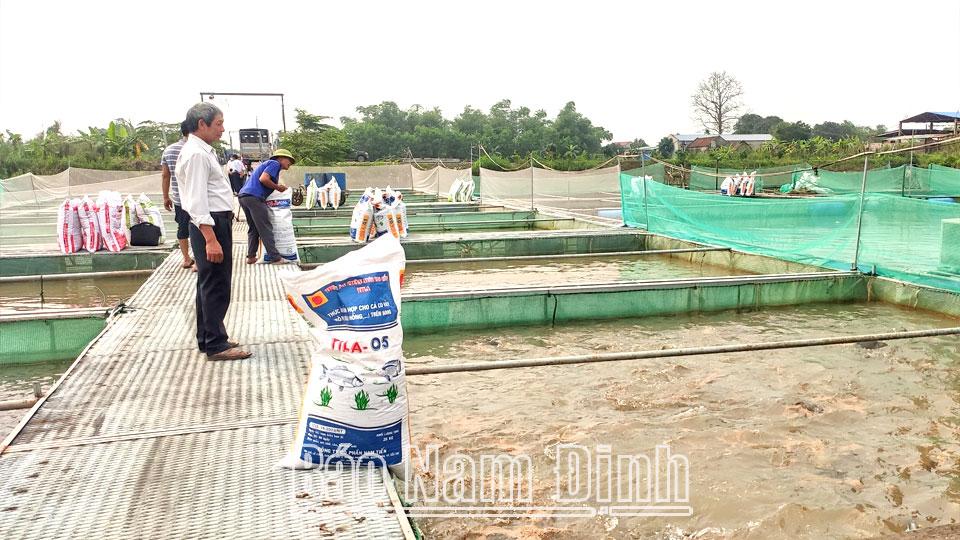 Hỗ trợ hội viên nông dânphát triển kinh tế