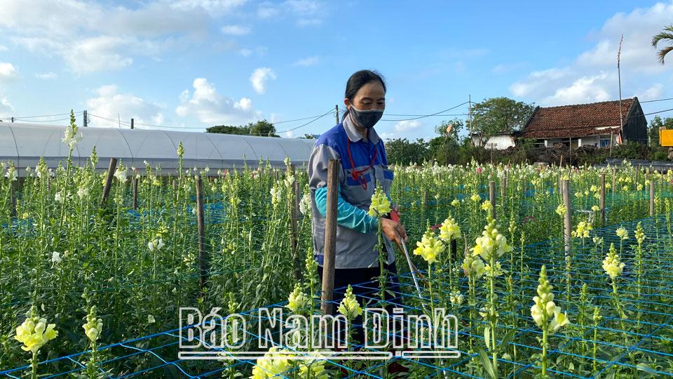 Chuyển đổi số thúc đẩy cải cách hành chínhtrong lĩnh vực khoa học và công nghệ