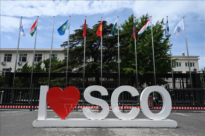Chuyển đổi toàn cầuthúc đẩy vị thế của SCO