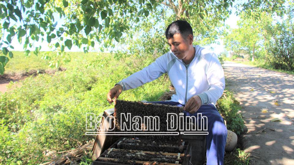 Hội Nông dân Giao Thủyhỗ trợ hội viên phát triển kinh tế