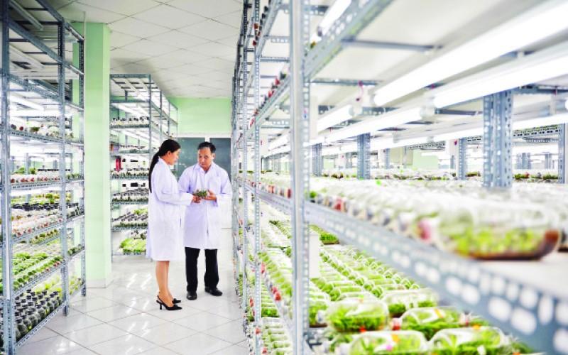 TP Hồ Chí Minh: Hướng đến nền nông nghiệp hiện đại