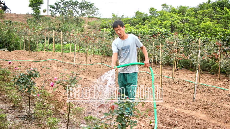 Nam Trực tập trung quản lý, sử dụng hiệu quả quỹ đất công