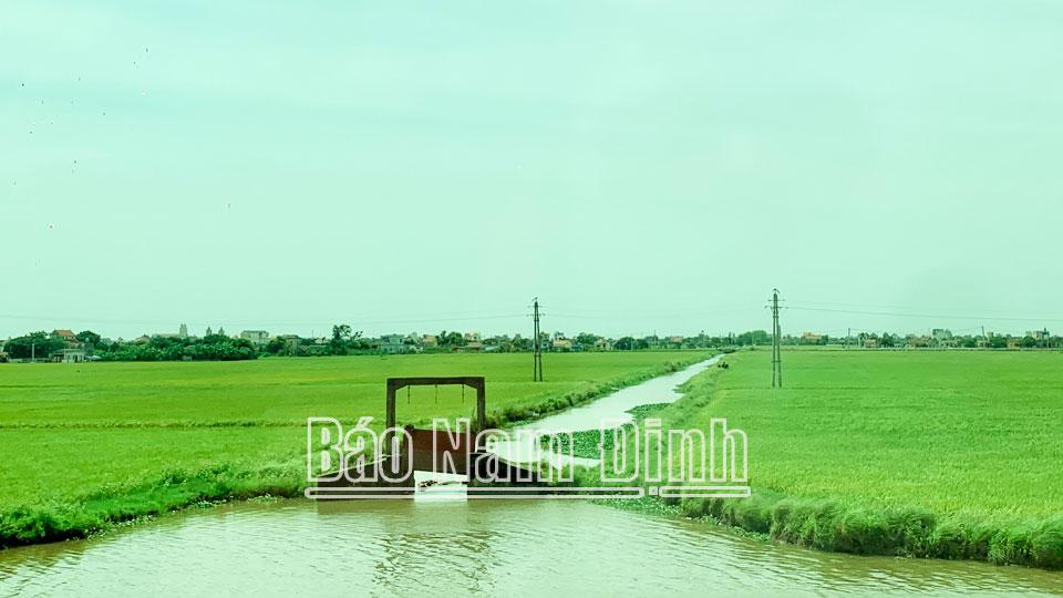 Chủ động phòng, chốngxâm nhập mặn, nước biển dâng