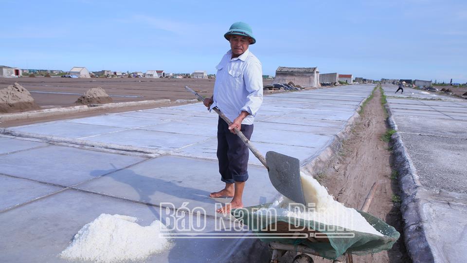 Gỡ khó cho nghề muối