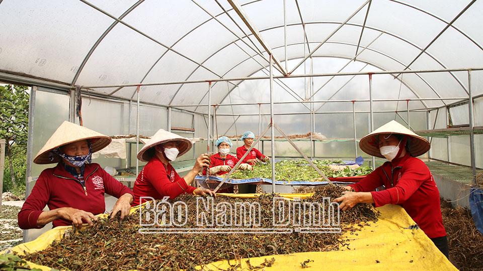 Phát triển và nâng hạngcác sản phẩm OCOP