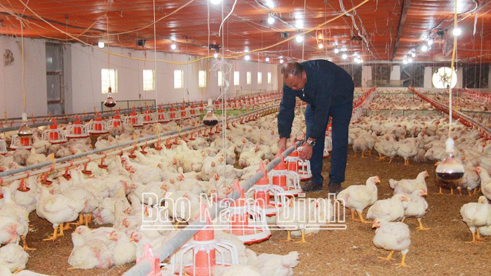 Nông dân xã Hải Đôngthi đua sản xuất, kinh doanh giỏi