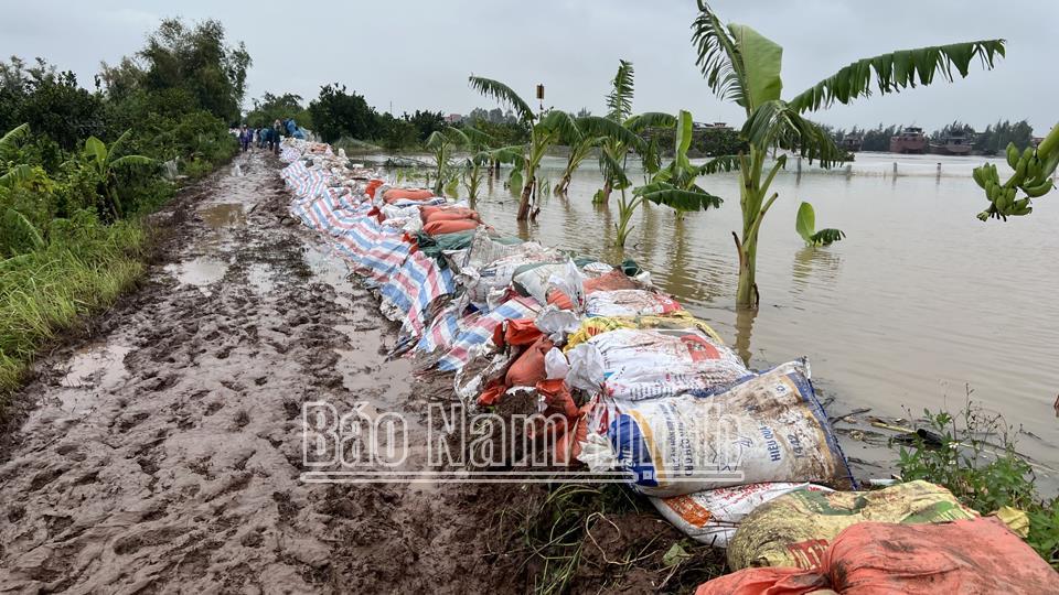 Nỗi đau chẳng của riêng ai