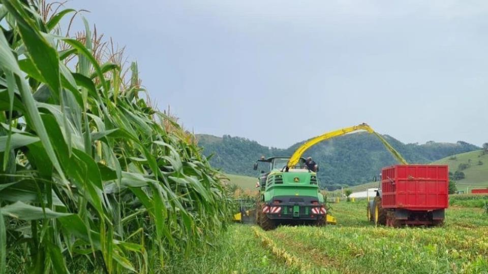 Lào chú trọng phát triển ngành trồng trọt và các sản phẩm cây trồng