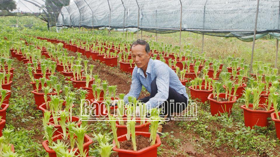 “Chìa khóa” thực hiện mục tiêugiảm nghèo bền vững ở Mỹ Lộc