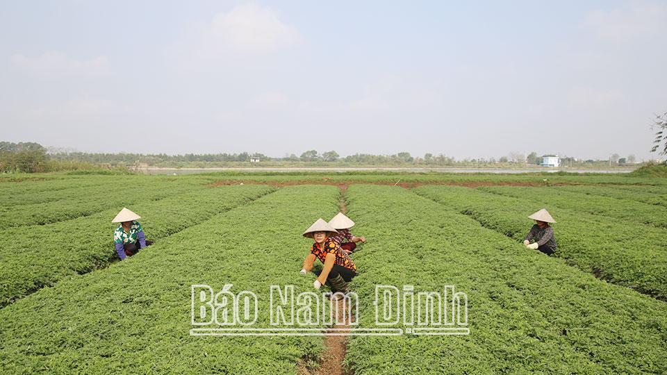 Nhiều giải pháp phát triểnkinh tế tuần hoàn