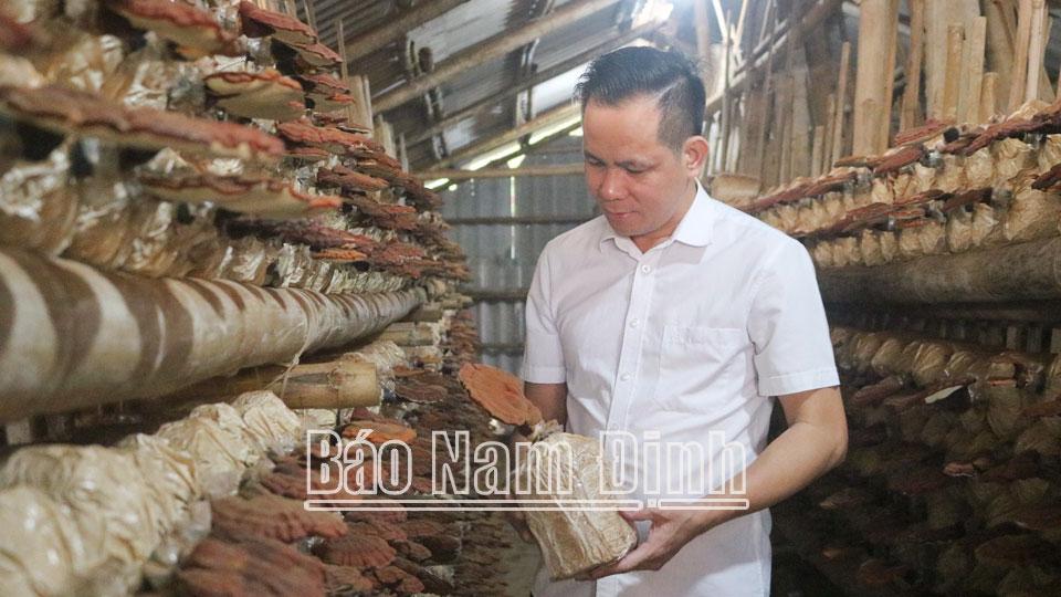 Đồng hành với nông dântrong sản xuất, kinh doanh