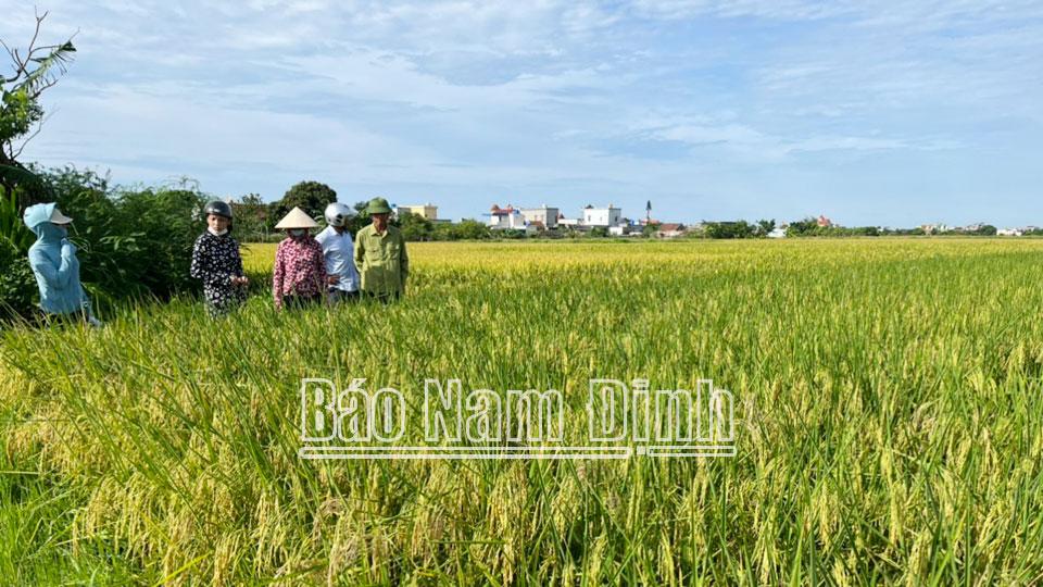 Giao Thanh hướng tới xây dựngnông thôn mới kiểu mẫu