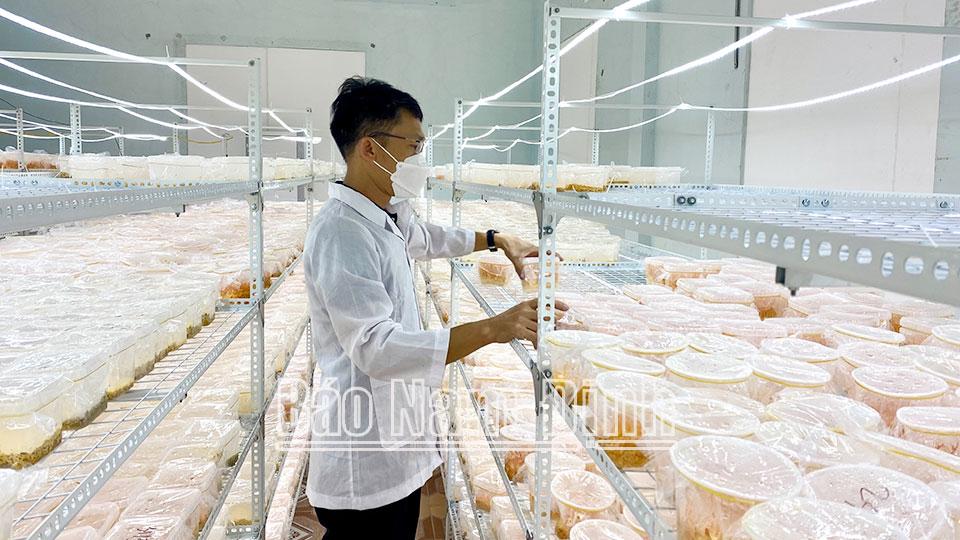 Phát triển công nghệ sinh học