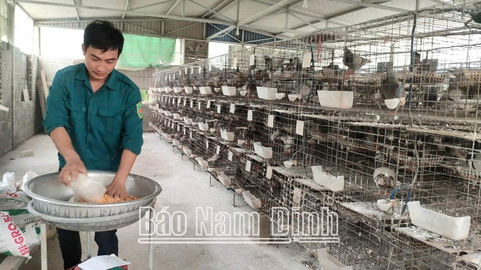 Nông dân Trực Ninh sản xuất, kinh doanh giỏi