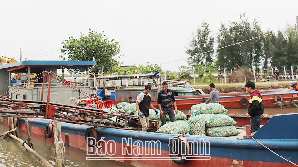 Khoa học và công nghệ góp phần thúc đẩy kinh tế biển phát triển bền vững