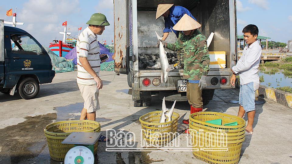 Vụ cá Nam thắng lợi