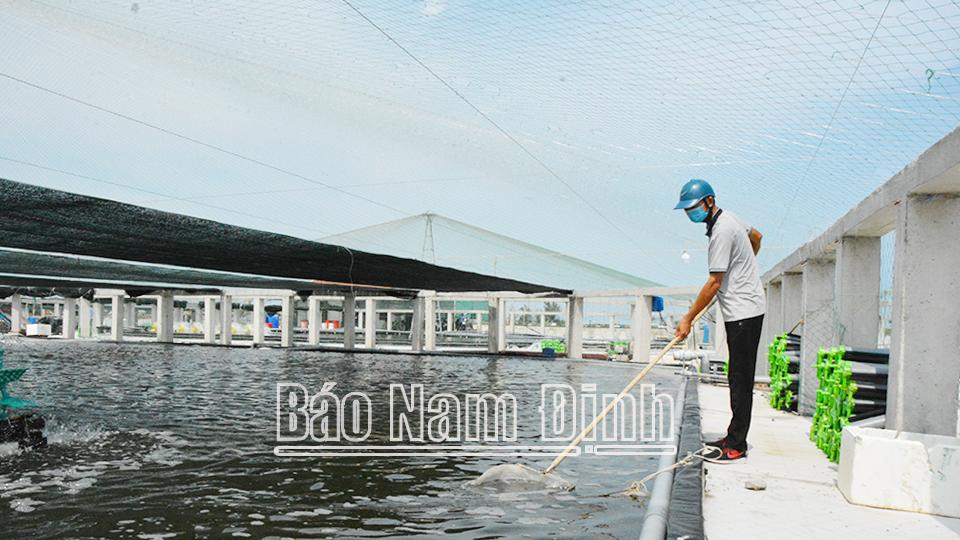 Áp dụng các mô hình nuôi thủy sản thích ứng với biến đổi khí hậu