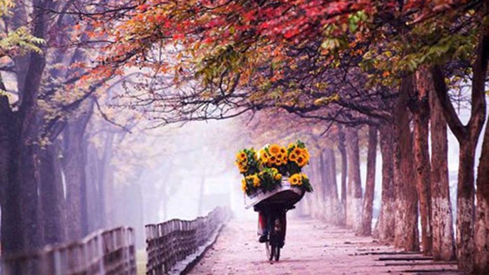 Đêm đông lao xao